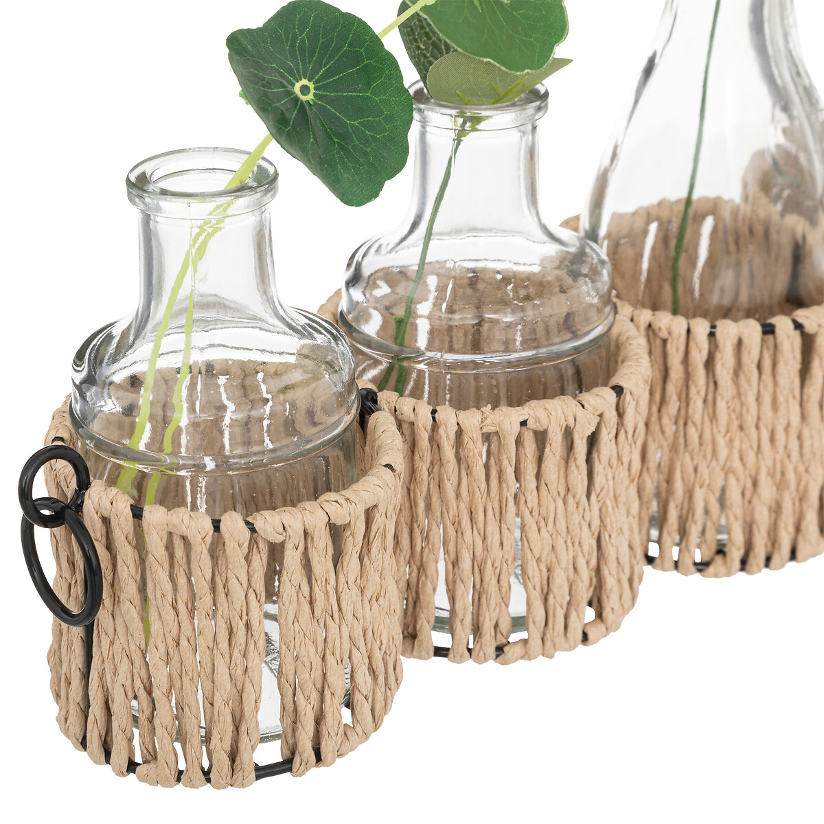 Juego De 5 Floreros De Vidrio C/Plantas