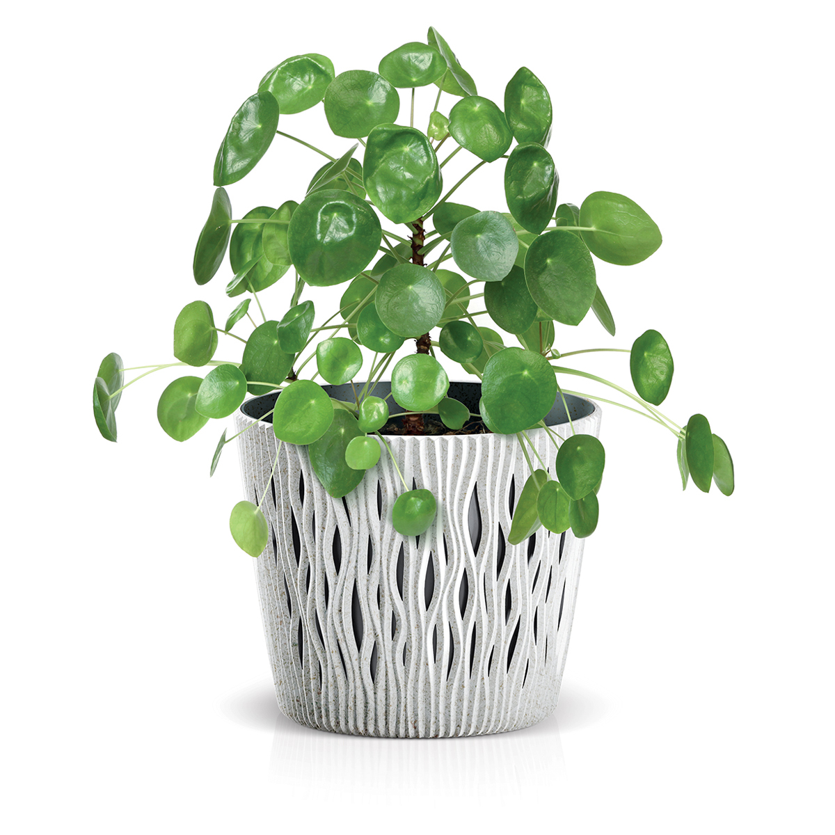 Vaso Sandy Round Branco Eco Wood 19cm