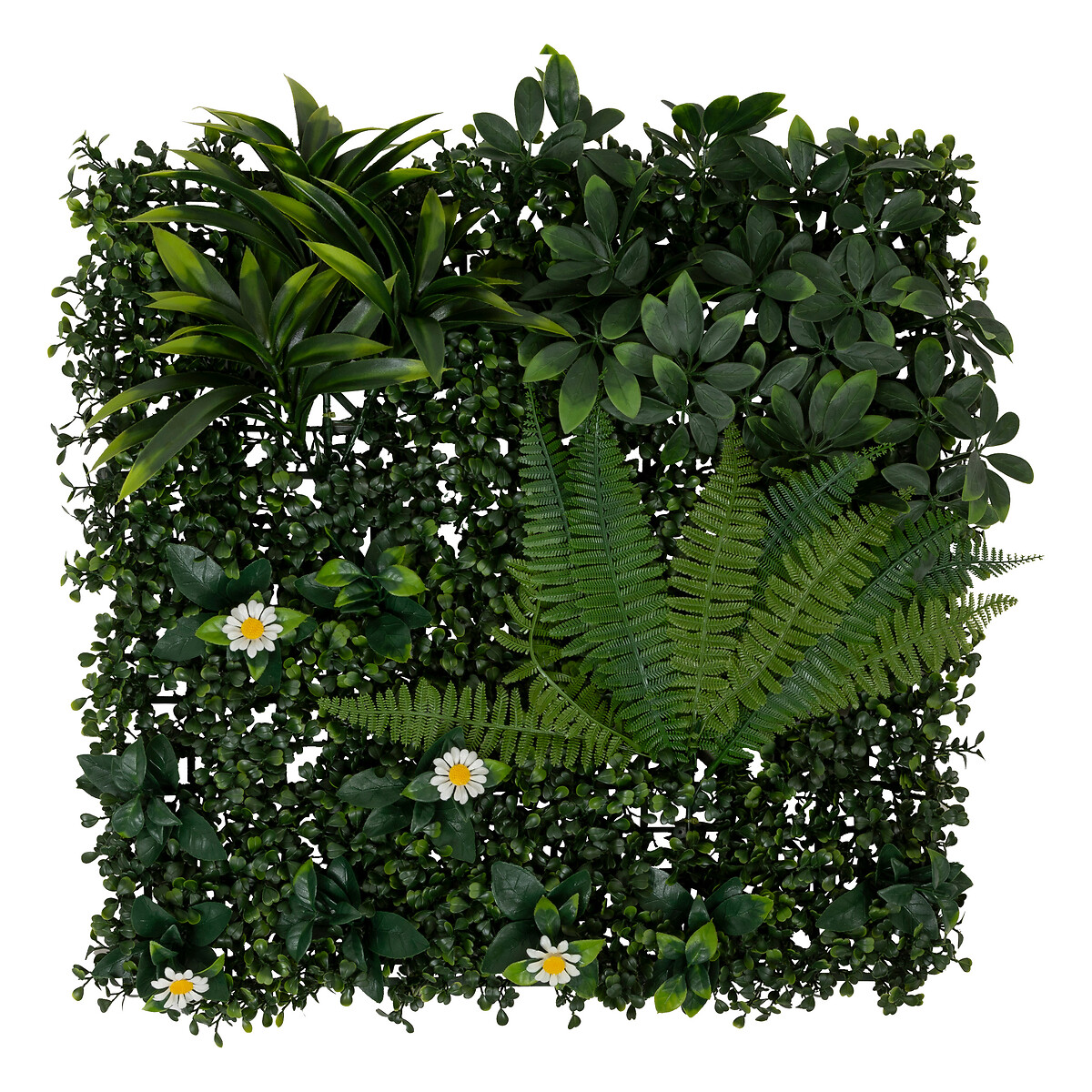 Jard&iacute;n vertical JUNGLE IZY 50x50cm
