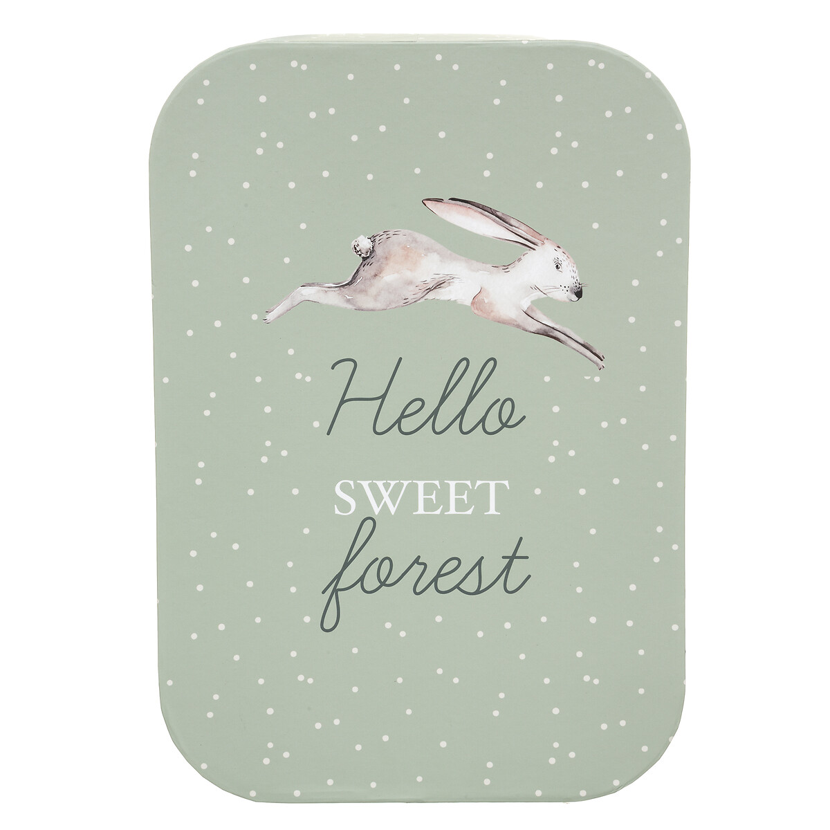 Caja De Almacenaje Forest 36x25x19Cm