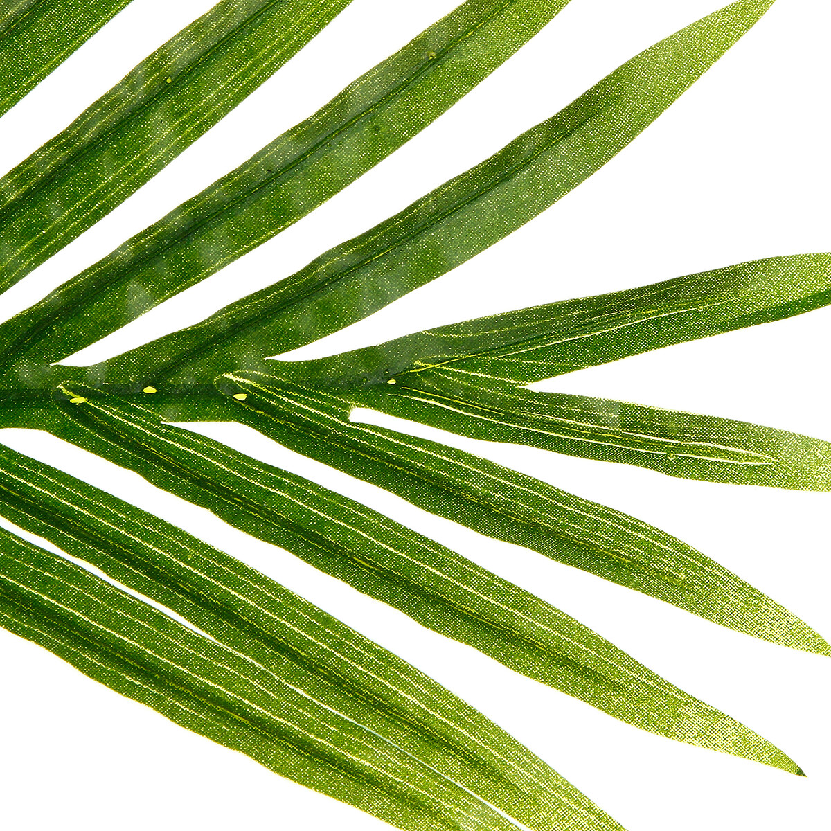 Palmera Artif. Con Maceta 170Cm