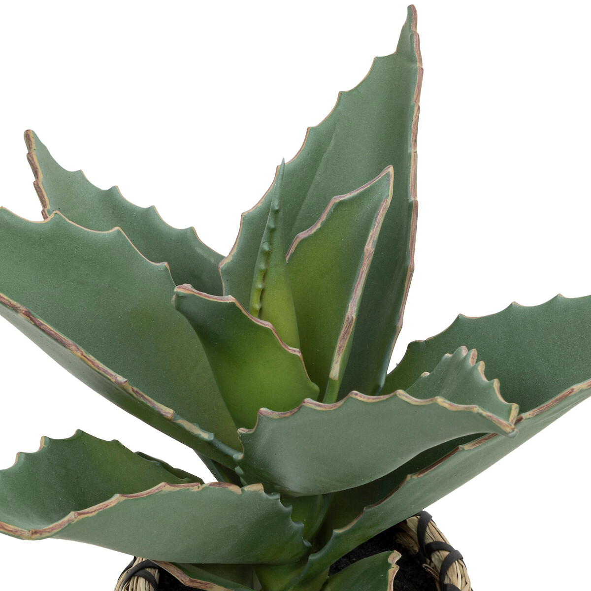 Cactus Artificial Con Maceta Pio 26cm