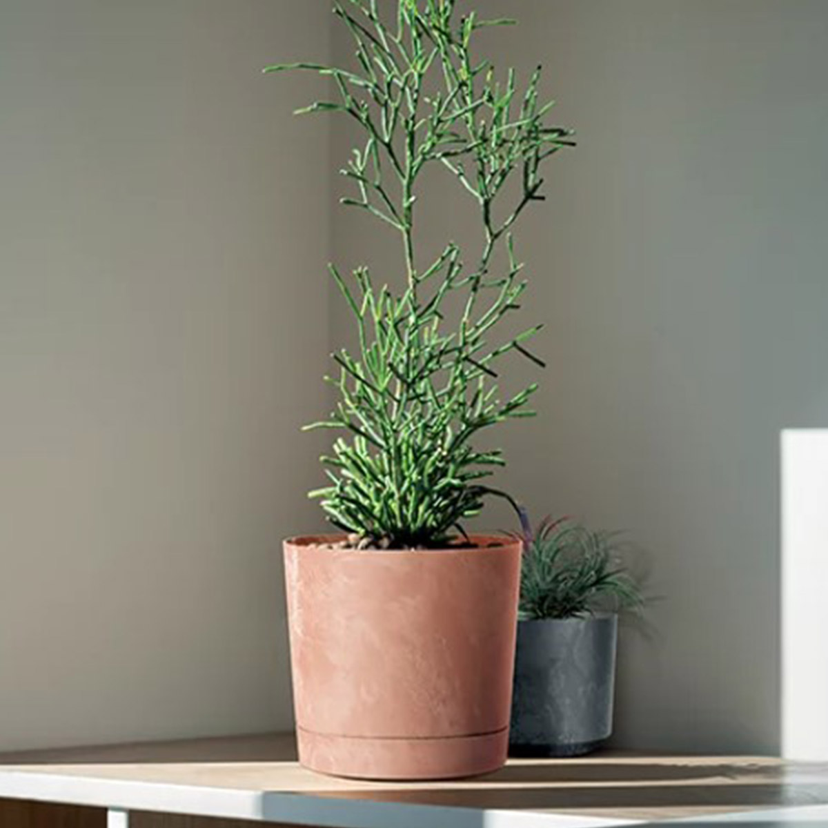 Maceta TUBO efecto cemento terracota 