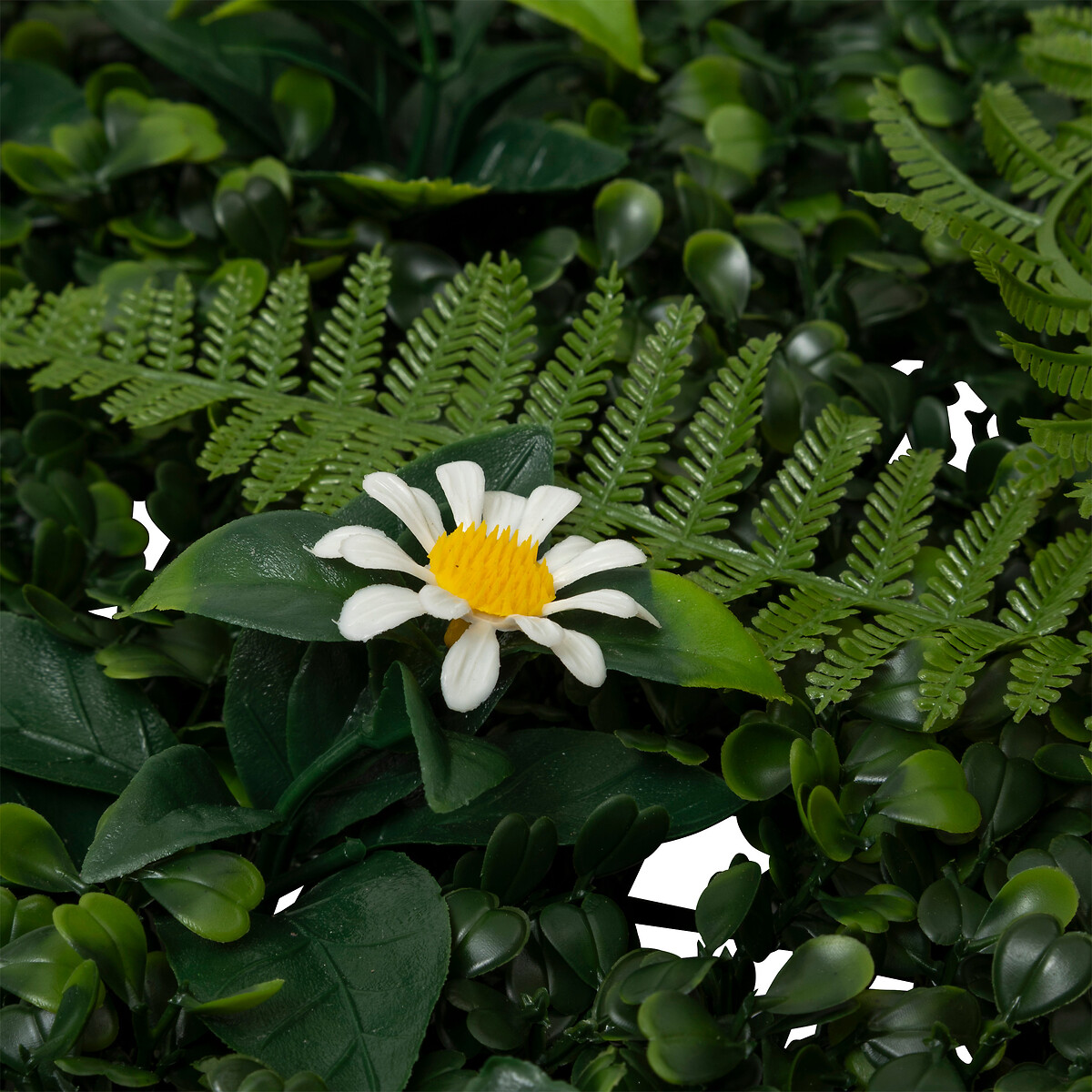 Jard&iacute;n vertical JUNGLE IZY 50x50cm
